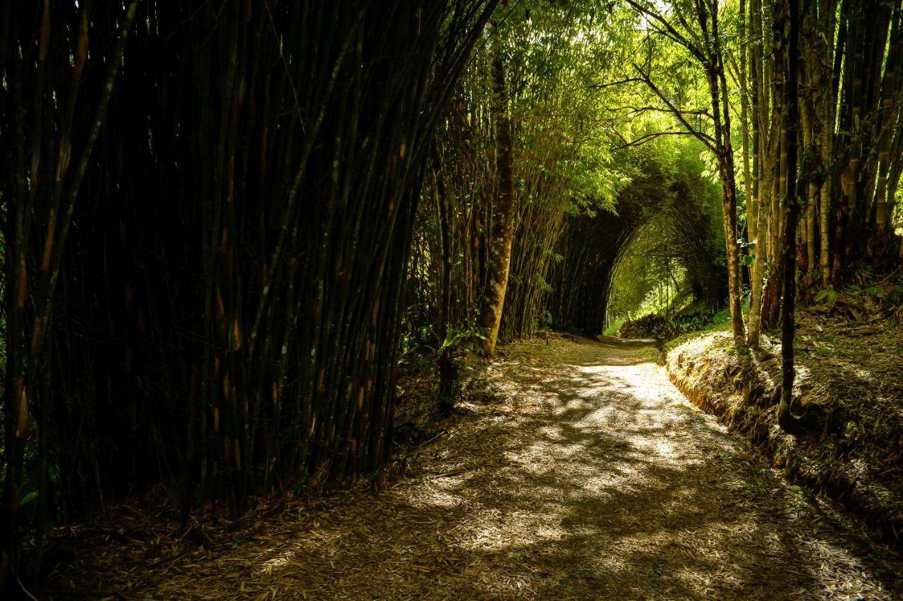 Talamanca Nature Reserve Hotel