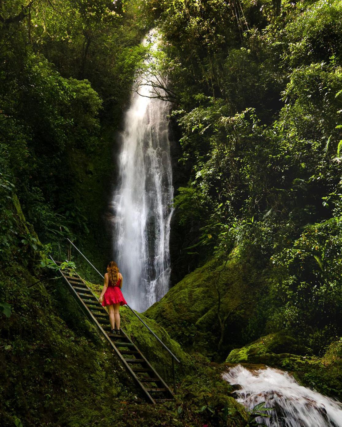 Hotel Talamanca Nature Reserve 5*