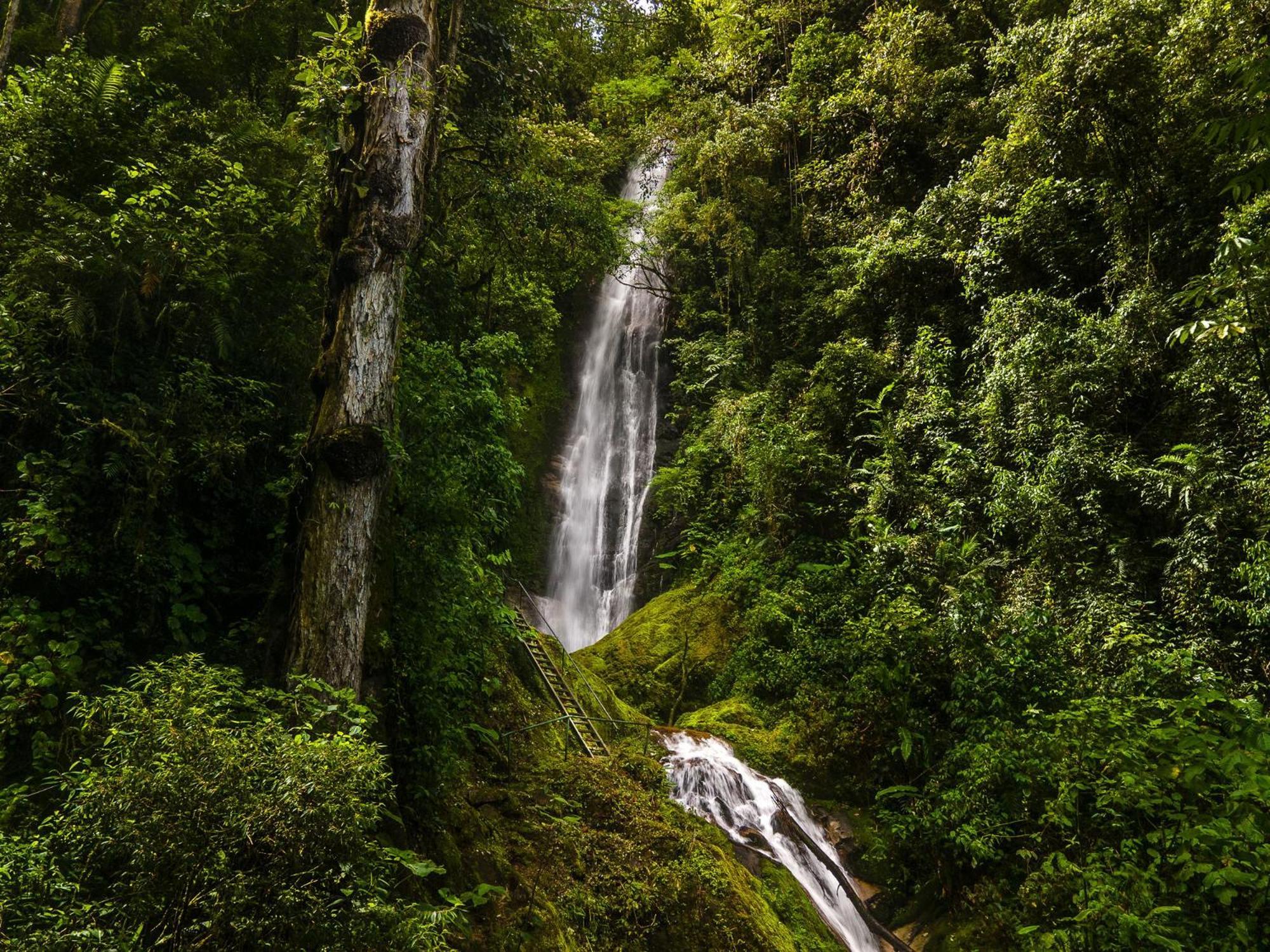 Talamanca Nature Reserve